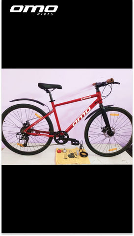 Customised Bike 7 Speed