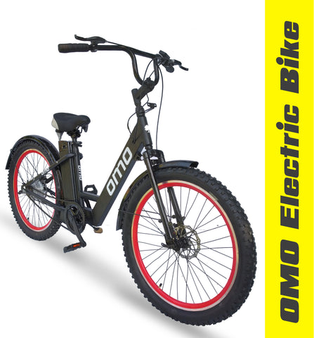 Omobikes Electric Bike