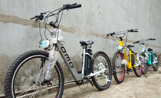 Model E.0 : Zero Maintenance electric cycle