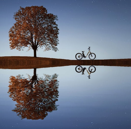 Myths around e-bikes & Electric Cycles