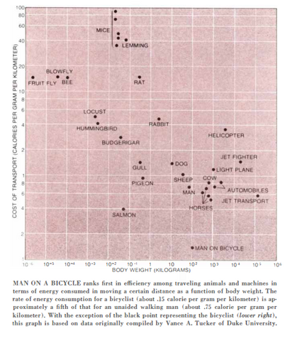 Bicycling reduces cost of transport with OMO cycle